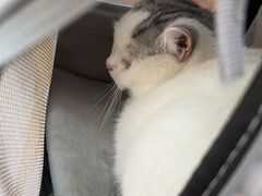 -申普宠物医院·眼科·心内科·影像科(普陀分院)