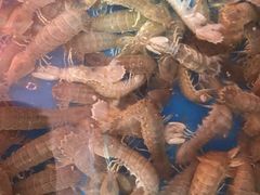 -宾朋海鲜特色美食餐厅·纯手工鲅鱼水饺(兴海路店)