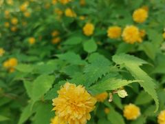 -北京植物园南门售票处