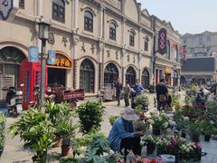 -连云港民主路老街