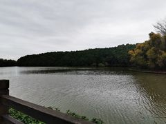 -大湾区中央湿地公园