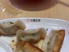 -小杨生煎(深圳岗厦北店)