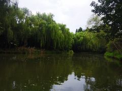 -同里国家湿地公园