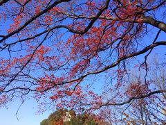 -少华山国家森林公园
