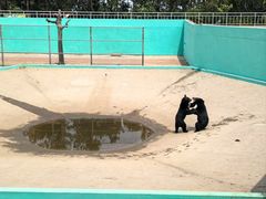 -西霞口神雕山野生动物世界