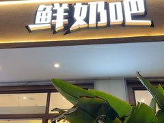 -乍甸乳业鲜奶吧(红河水乡店)