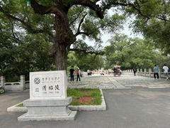-北陵公园