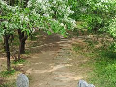 -国家植物园南园