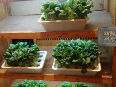 -福苗小骆驼烧烤(曲江店)