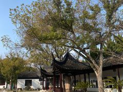 -苏州文庙(姑苏区)