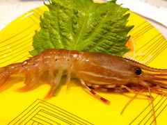 -京樽回転寿司(奥林匹克店)
