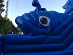 -朝阳公园游乐园