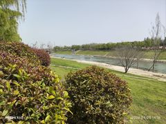 -洨河生态公园