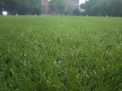 -苏州大学(天赐庄校区)