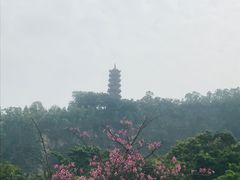 -南沙蒲洲花园