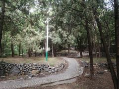 -阳台山自然风景区