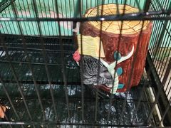-上海大自然野生昆虫馆