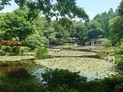 -山外山·林语花园餐厅