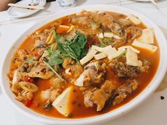 红烧稀麟鲑-煲来饱去冷水鱼