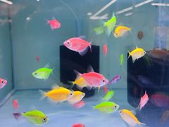 -大润发(姑嫂树店)