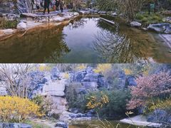 -上海吴淞炮台湾国家湿地公园