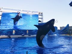 -上海海昌海洋公园-停车场