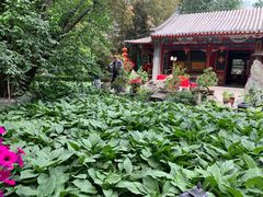 -白家大院·王府宫廷菜(苏州街店)
