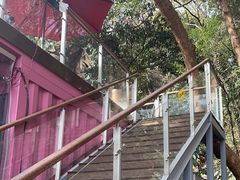 -鸡鸣汤包(红山动物园店)