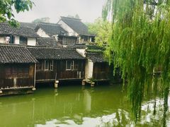 -乌镇东栅景区