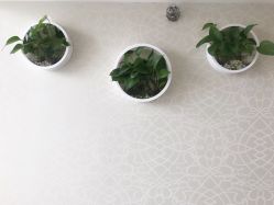 -久匠·纹眉半永久野生眉