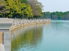 -海珠湖公园