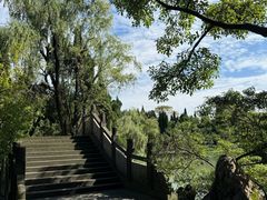 -昆山城市生态森林公园