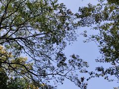 -吴淞炮台湾湿地森林公园烧烤区