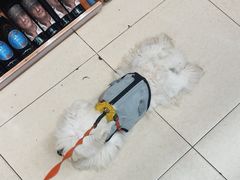-绿叶子超市(公园大道店)