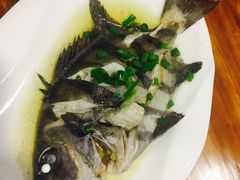 -食海部落