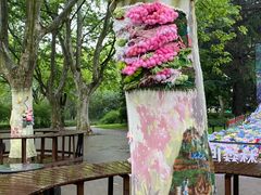 -上海共青森林公园