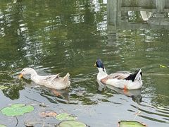 -武汉园博园(武汉自然博物馆)