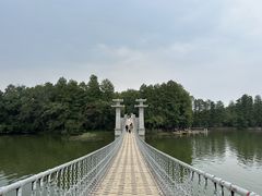 -东湖落雁景区