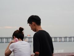 -宝安西湾红树林湿地公园