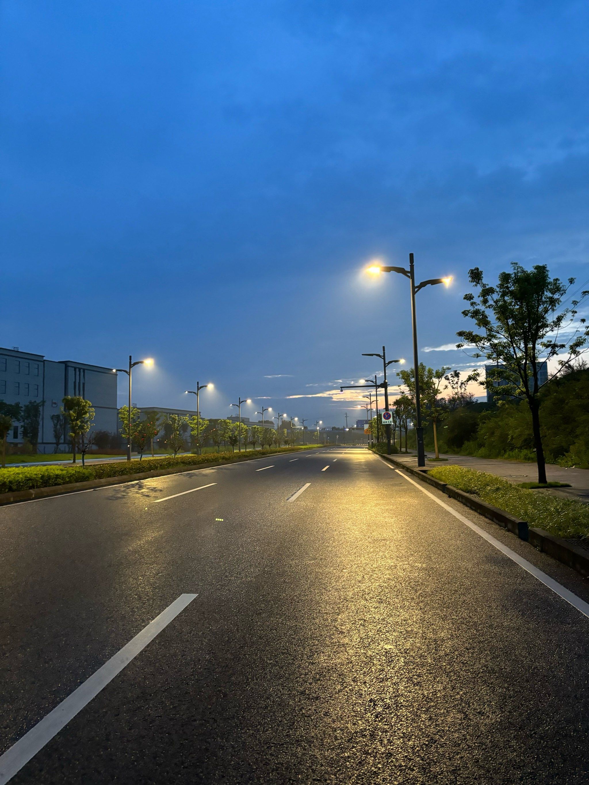 免费景点大赏最喜欢清晨湿漉漉的马路