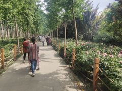 -仁和公园(顺义区)