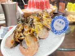 鲜活小青龙-东海怡品海鲜豆捞(舟宿夜江店)