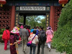 -大槐树寻根祭祖园