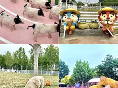 -渔岛海洋度假区