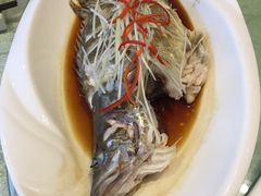 -博雅渔港·融合菜(维也纳国际大酒店)