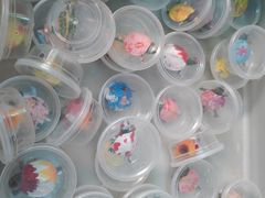 -中环花鸟鱼虫市场