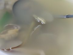 -温州一家人美食(西木头市店)