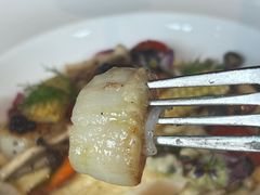 -一棵树·意大利西餐厅One Tree(新城店)