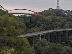 -金鸡山公园