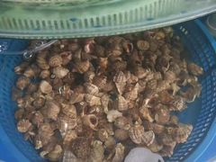 -蓝珊甄选海鲜自助·火锅大排档(近阿那亚店)